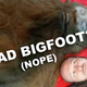 Illustration for article titled Uncovering the Dirty Secrets Behind the Latest Dead Bigfoot Story